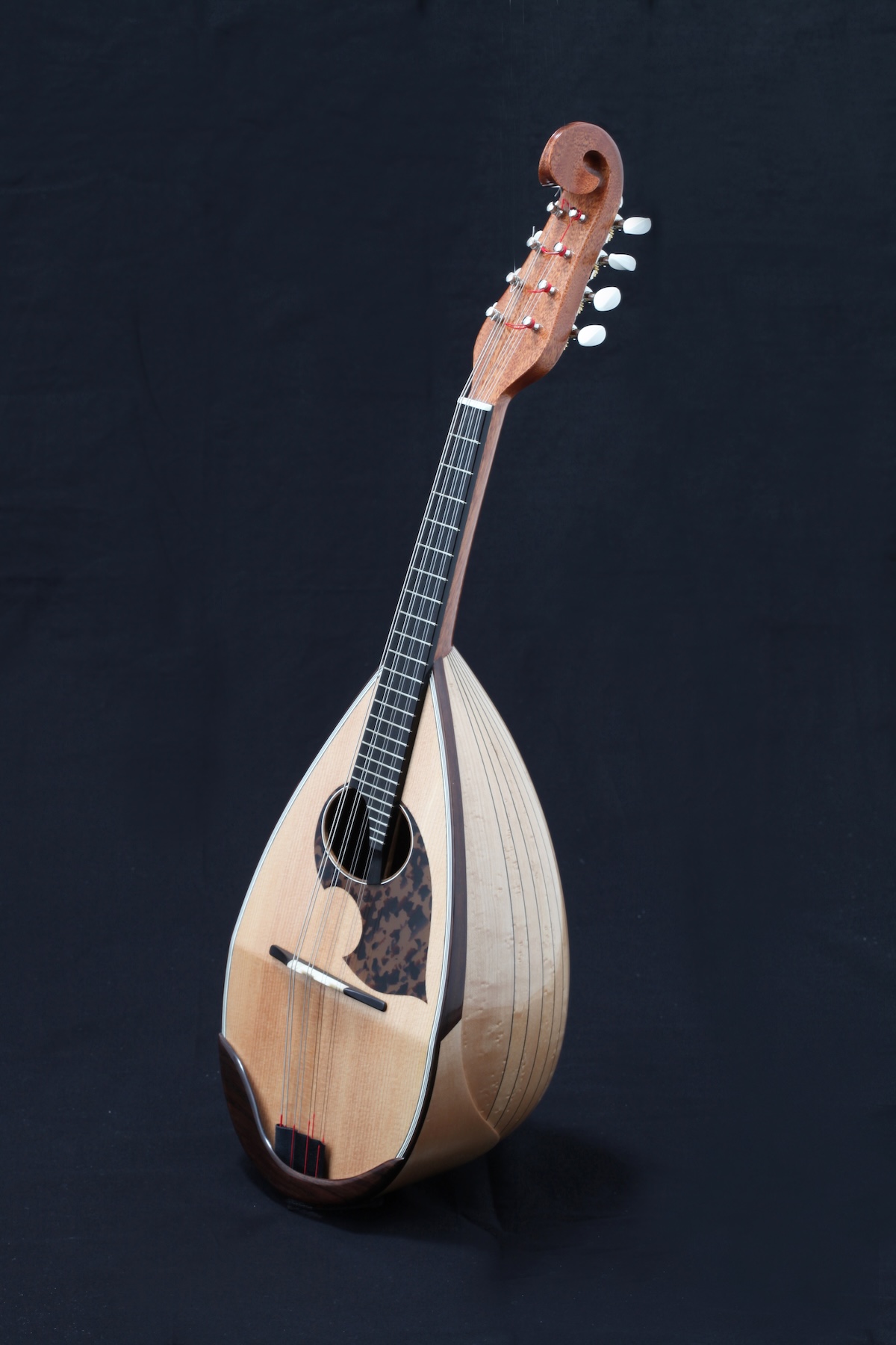 SB | NOGUCHI MANDOLIN｜野口マンドリン