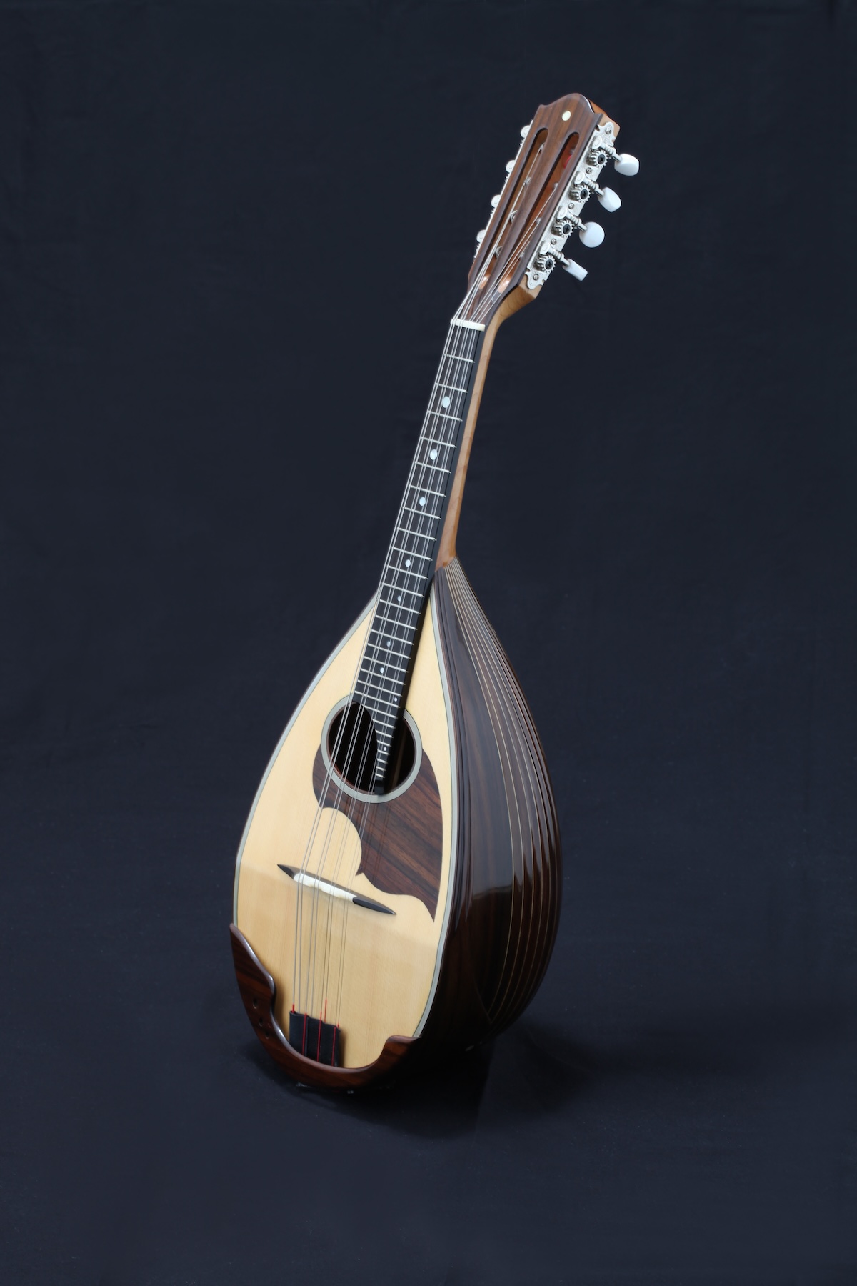TYPE Ⅴ | NOGUCHI MANDOLIN｜野口マンドリン工房